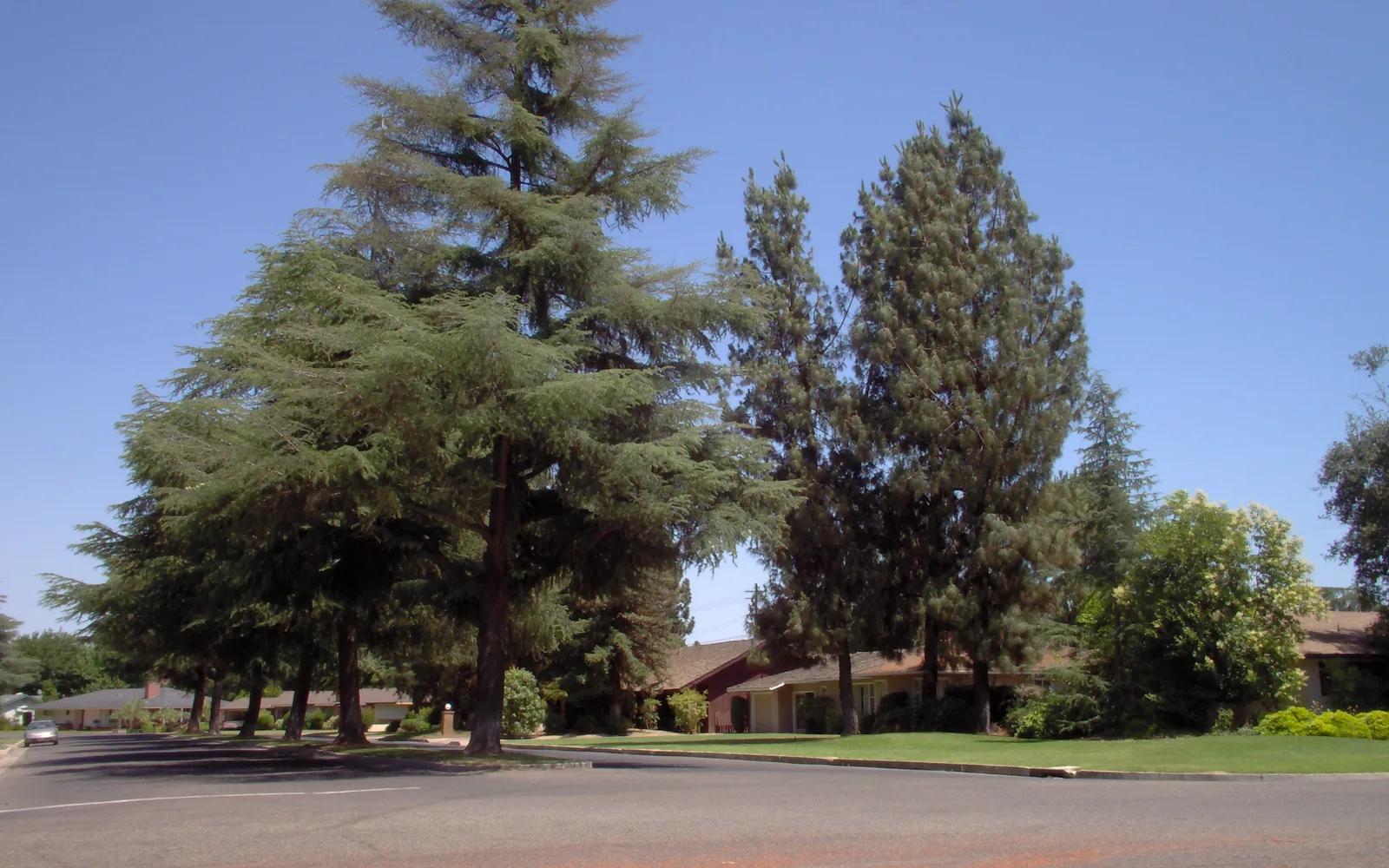 Street view of single-family ranch houses in a California suburban neighborhood with wide streets and residential properties